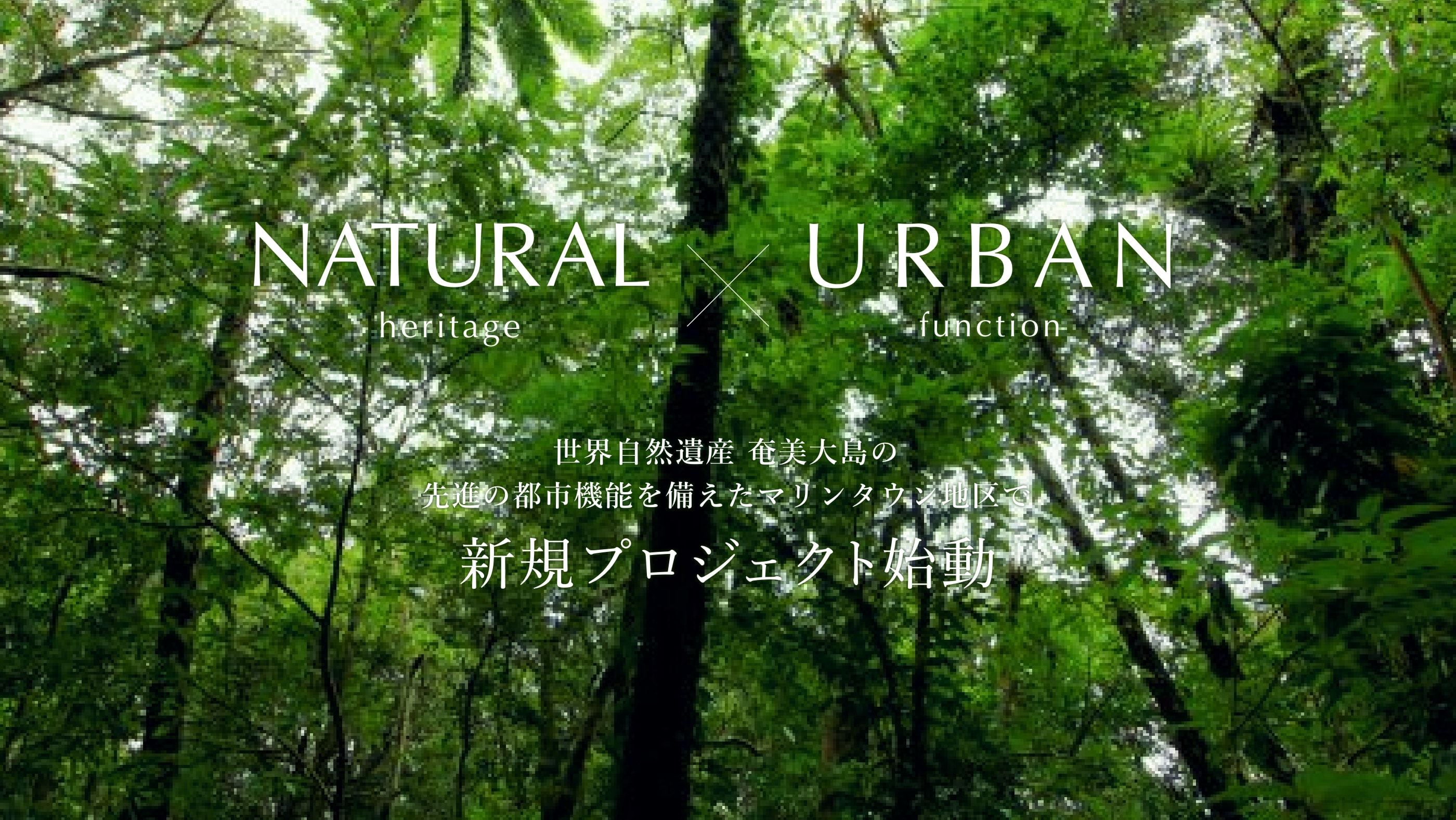 NATURAL heritage ✕　URBAN function 世界自然遺産 奄美大島の先進の都市機能を備えたマリンタウン地区で新規プロジェクト始動